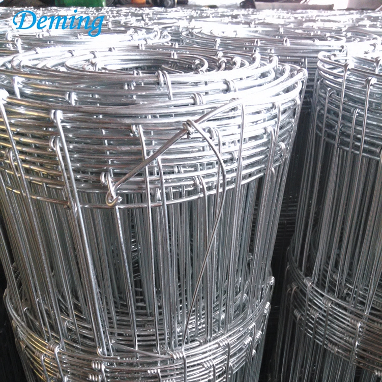 Factory Galvanized Fixed Knot Field Fence for Sale