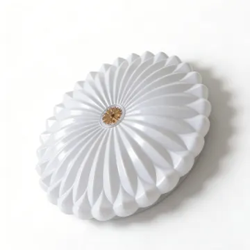 LED ceiling lamp for modern living