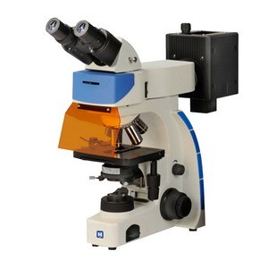 LED Illumination Binocular Fluorescence Microscope (LF-202)