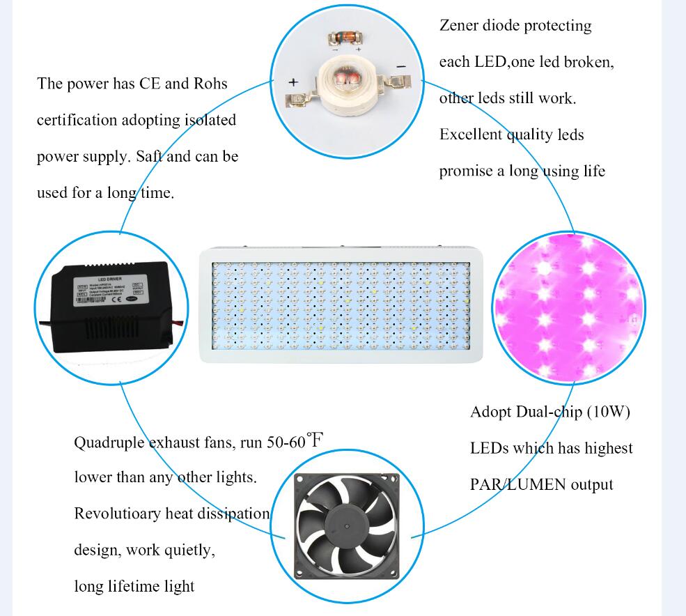 Full Spectrum 300W LED Grow Light Agricultural