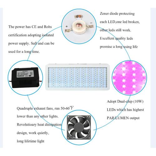 Beliebteste 2000W LED wachsen Lichter