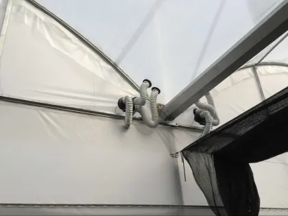 auto forever flowering greenhouse