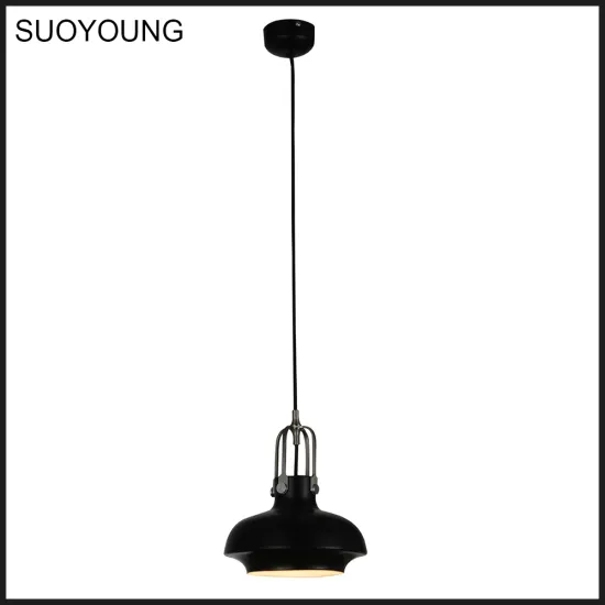 Simple Style Small Drop Lights For Living Home (MD8071-200)