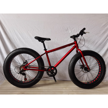 New 20\" Alloy Fat Bike 7 Speeds with Hollow Rims