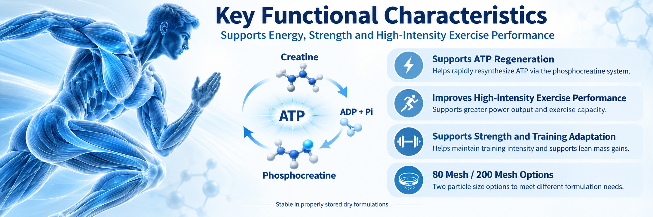 Creatine Monohydrate (2)