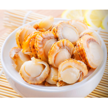 Wholesale Dry Instant Scallop Healthy Seafood