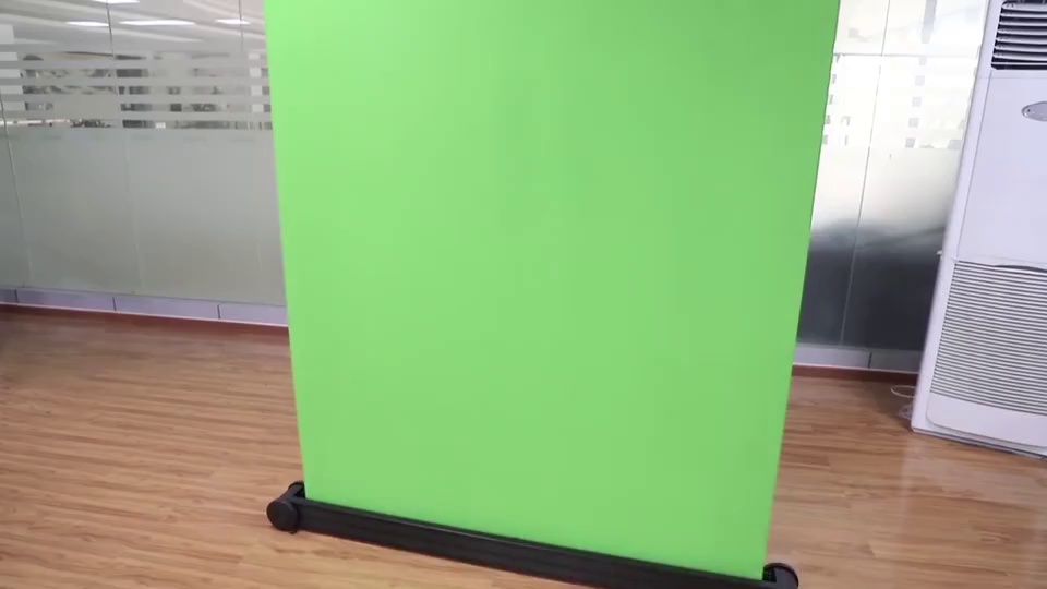 Wall Mounted Matte White Rollers Manual Projection screen