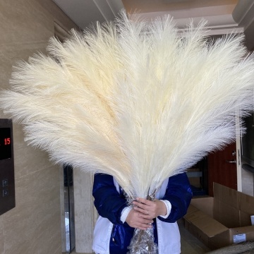 YAYUN A-3001 Silk Artificial Pampas Grass for Wedding Decor