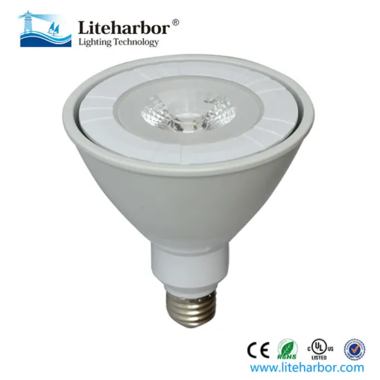 Light bulb 22W High Lumen LED Bulb PAR38