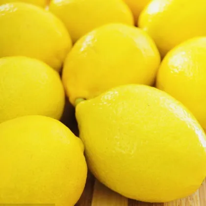 Fresh Citrus Lemon Sour