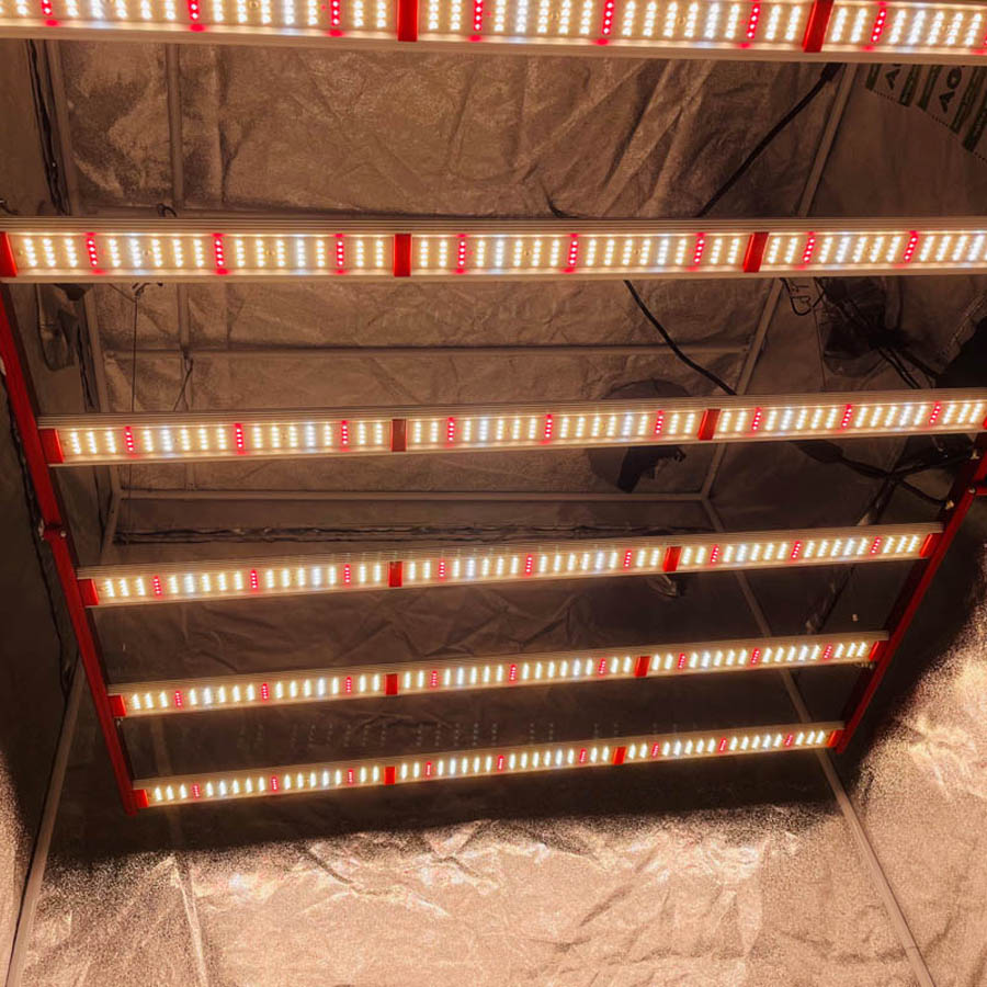 Aglex Best 600w LED Grow Light Full Spectrum China Manufacturer