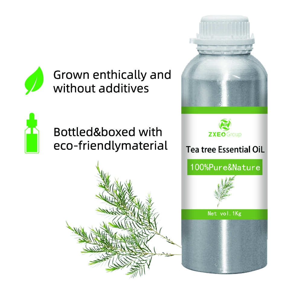 100% pure natural organic matter tea tree essential oil wholesale in bulk high qulity distill extractive tea tree essential oil