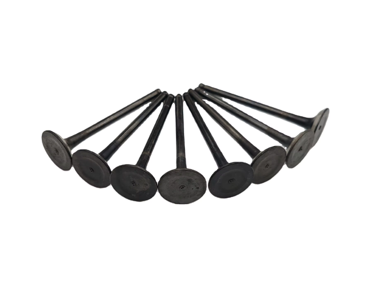 90295011 Intake Valve for Engine