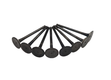 Exhaust Valve for Hyundai G4KE Engine