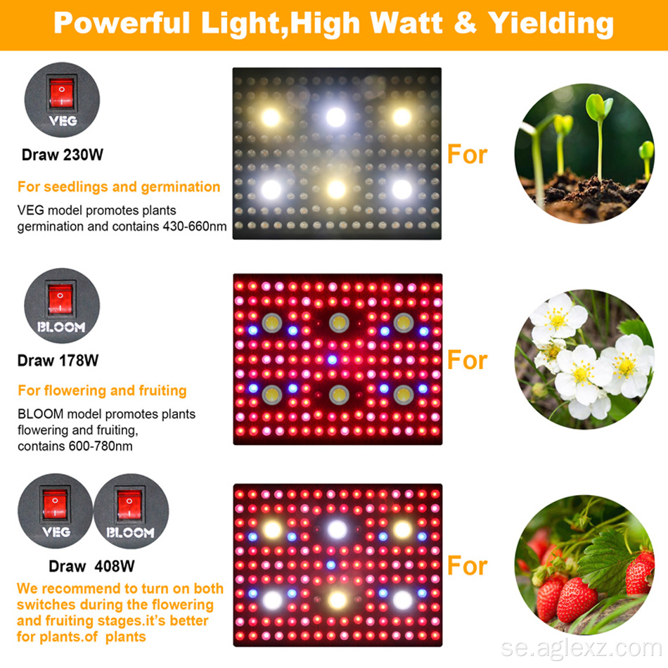 Högeffekt LED -hela spektrumet växer ljus