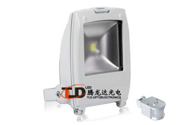 High Lumen 1000lm Sensor Led Flood Light , 10watt 2700k - 4000k Ra80