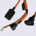 Electric Vehicle Wire Harness