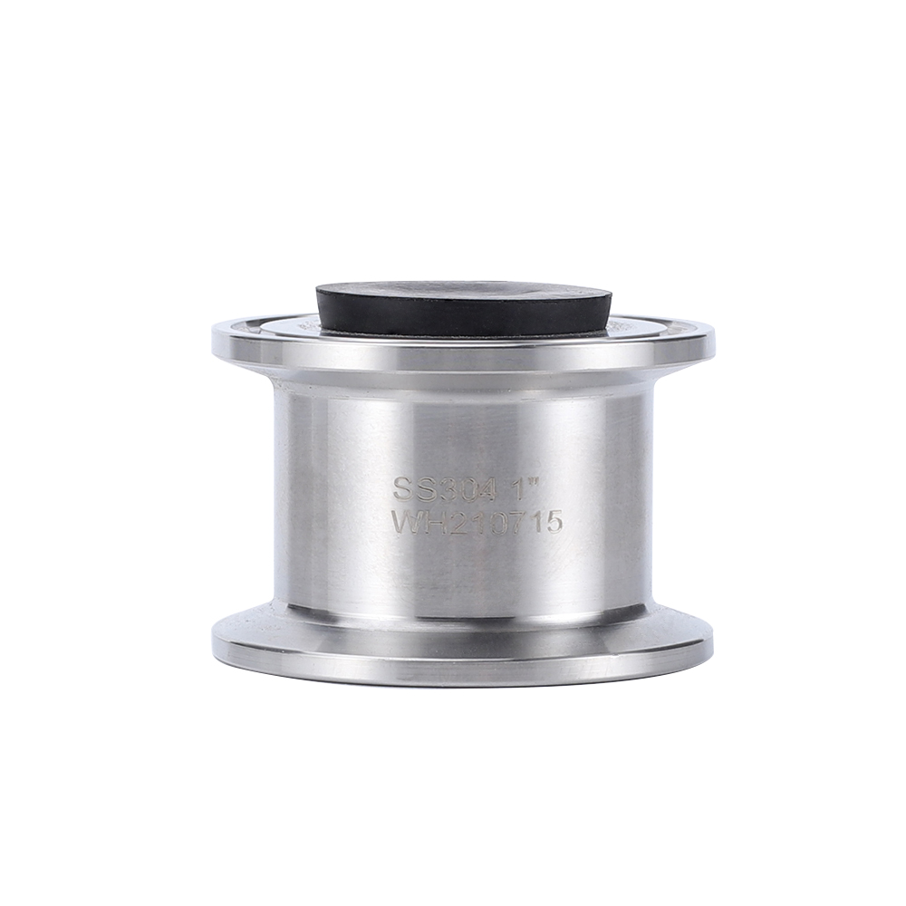 Stainless Steel Check Valve