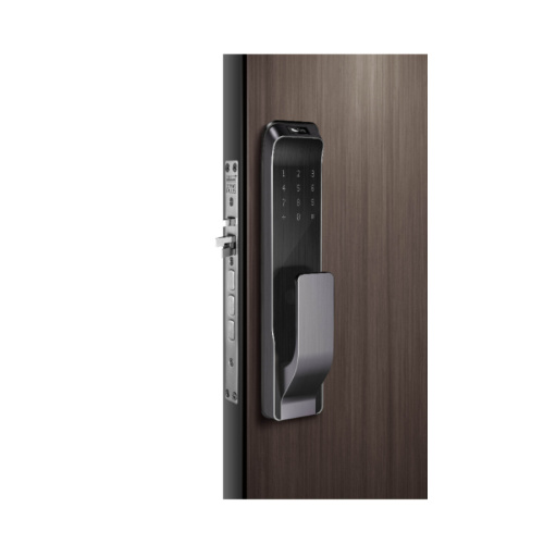 Gesichtserkennung Aluminium Smart Door Schloss