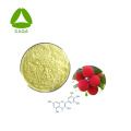 Bayberry Rinde Extrakt 80% Myricetin Pulver Leber Gesundheit