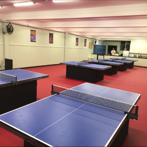 Professionele Indoor Tafeltennisbaanmatten