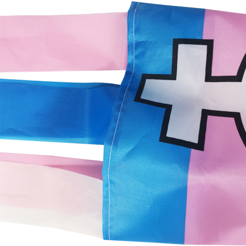 Custom Printing Rainbow Pattern Gay Pride Windsock