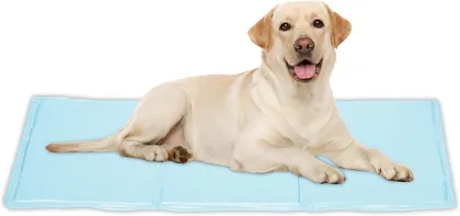 Cooling ice mat for dog