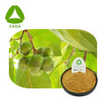 /msite/products/detail/productid/59542797/id/1001309.html