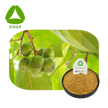 المنتج الجنسي Pygeum Extract Powder 10: 1