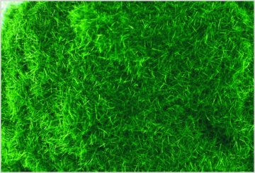 J011 2mm Custom Model Train Layouts Supplies Deep Green Nylon Turf Grass