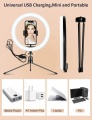 Hot 10 นิ้ว Dimmable Remote Control Selfie Photogrape Ring Light พร้อมขาตั้งขาตั้งกล้องสำหรับแต่งหน้า Tiktok และสตรีมสด