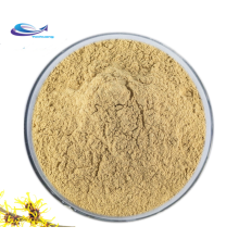 High quality organic witch hazel extract powder with