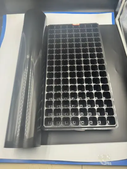 Characteristics and Versatile Applications of Black Polystyrene Film in Packaging Solutions