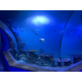 Grote onderwaterwereld Restaurant Acryl Aquarium Tunnel