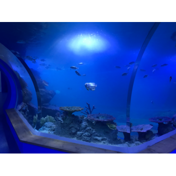 Stor undervattensvärldsrestaurang akryl akvariumtunnel
