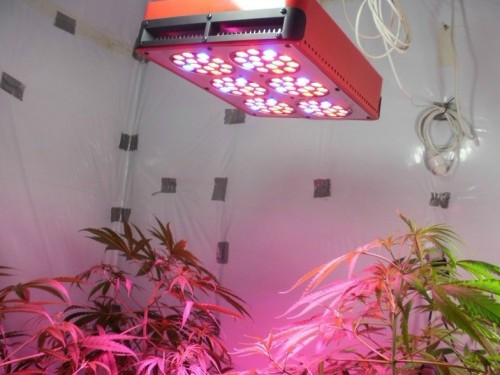 200W Plant Grow Light with 90*3W (SG-S200W)