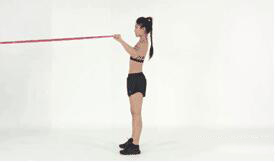 gym resistance bands