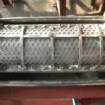 Cold Pressed 1KW Carrot Aloe Vera Juice Extractor & Cashew Juice Machine (Commercial)