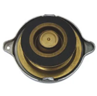 Radiators Caps - Advance Auto Parts
