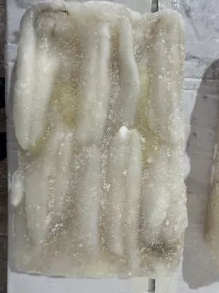 Frozen Calamari Squid Eggs