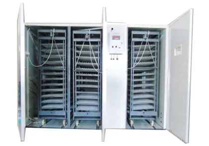 Automatic Digital Chicken Egg Incubators and Hatcher - Model 14784