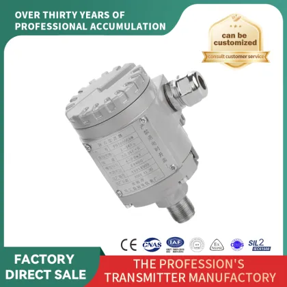 High Precision Negative Pressure Sensor Gauge