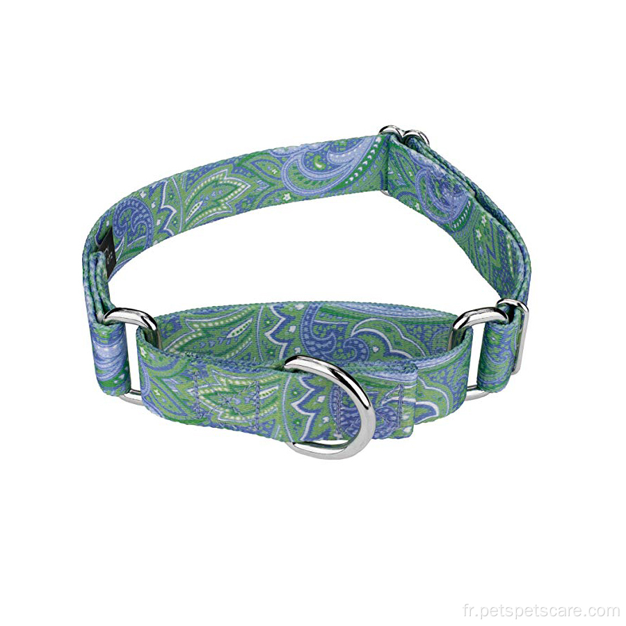 Collier de chien d'impression de sublimation avec design personnalisé