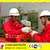 Safety lock for wire rope suspended scaffolding