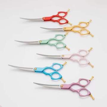 Professional JP440C Colorful 6.0 6.5 Inch Curved Grooming Scissors Pet Scissor for Dogs Cats