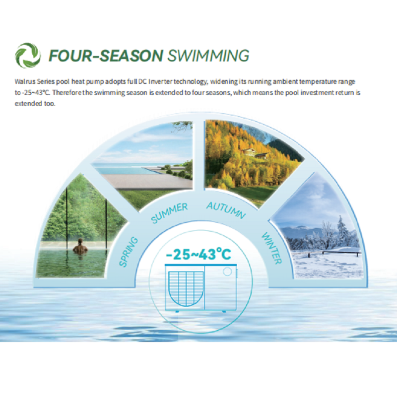 Four-Season Swimming