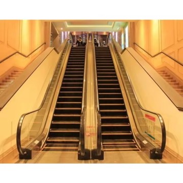 FUJI Brand Home Escalator for Residential Areas in China
