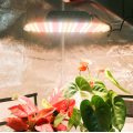 Aglex K1000 QB LED Grow Light Panneau