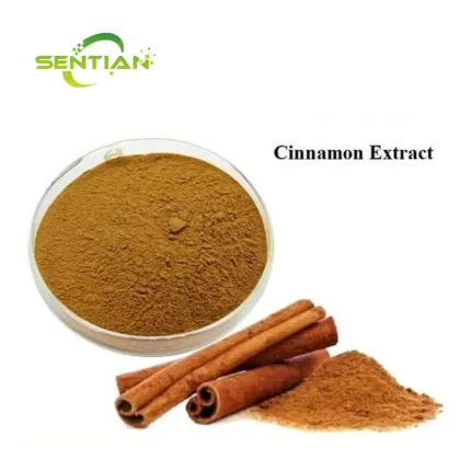 Organic Ceylon Cinnamon Extract Powder Cinnamon Polyphenols