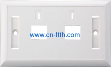 Dual Ports Wallmount Plate 